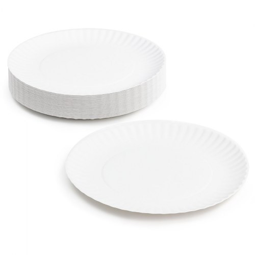 9" Paper Plates - 100 Count