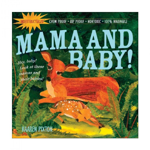 Mama and Baby Cloth Book