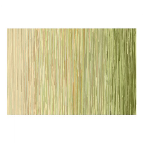 Sense of Place Nature's Stripes Carpet - Green - 6' x 9' Rectangle