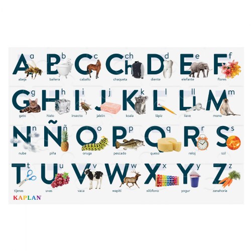 Alphabet -