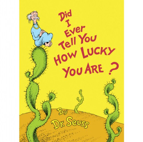 Did I Ever Tell You How Lucky You Are? - Hardcover