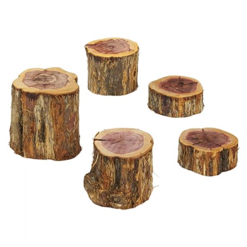 Wood Stepping Stumps - Set of 5
