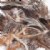 Main Image of Natural Feathers - 3 oz.