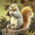 Alternate Image #2 of Soft Gray Squirrel Hand Puppet