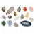 Main Image of Let's See Nature Assorted Loose Parts