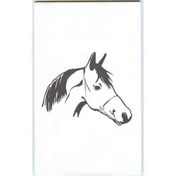 Image of LAP™ Horse Illustration Pad