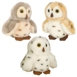 Image of Itsy Bitsies Plush Spotted Owls - Set of 3
