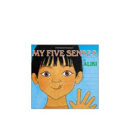 Image of My Five Senses - Big Book