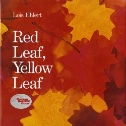 Image of Red Leaf, Yellow Leaf - Hardback