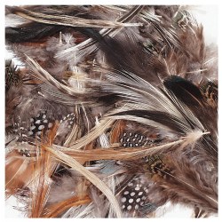 Image of Natural Feathers - 3 oz.