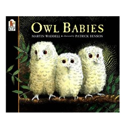 Image of Owl Babies - Big Book