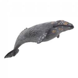 Image of Grey Whale Realistic Figure