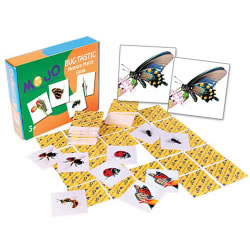 Image of Bug-tastic Memory Match Game