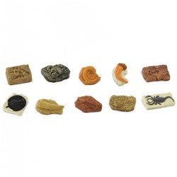 Image of Ancient Fossils Minis - 10 Pieces