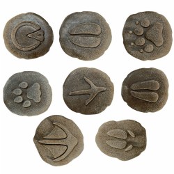 Image of Farmyard Footprints™ Stones - Set of 8