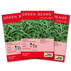 Bush Green Beans Seeds 3-Pack