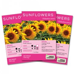 Image of Dwarf Sunflower Seeds 3-Pack
