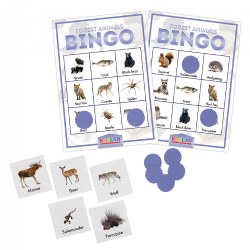 Image of Kaplan Forest Animals Bingo Learning Game