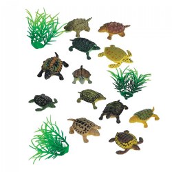 Image of Mini Turtles and Trees
