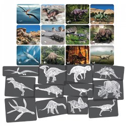 Image of Dinosaur Picture Cards & X-Rays