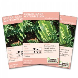 Image of Sugar Baby Watermelon 3-Pack