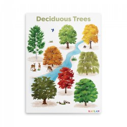 Image of Deciduous Tree Giclee Classroom Wall Print