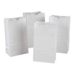 Image of White Paper Bags - Set of 100
