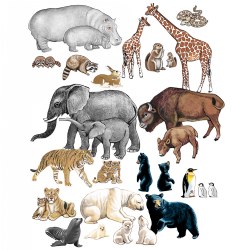 Image of Wild Animals from Different Countries Felt Set