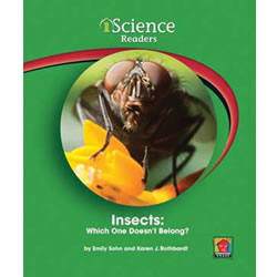 Insects: Which One Doesn't Belong? (Level A)