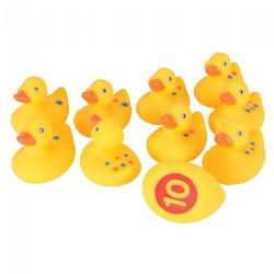 Image of Number Fun Ducks 1-10
