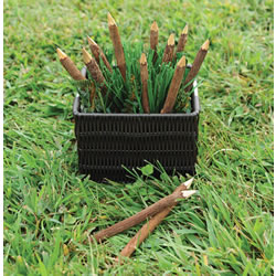 Twig Pencils - Set of 12