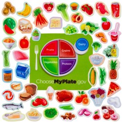 3 years & up. Real images reinforce healthy eating habits and align with the USDA MyPlate model. This learning kit is great for at home learning or in school instruction. Being that the pieces are all made of felt, the kit also travels well. Includes 1 felt plate with placemat, 50 food pieces, 5 food group pieces, and a 16 page lesson guide. Precut.
