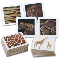 Image of Animal Skin Picture Cards