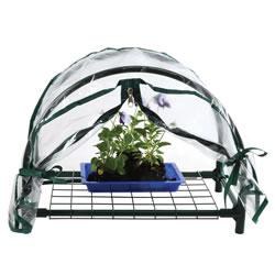 Image of Mini Greenhouse with Cover