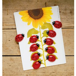 Image of Ladybug Stones and Activity Cards