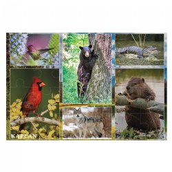 Image of North American Animals Floor Puzzle - 24 Pieces
