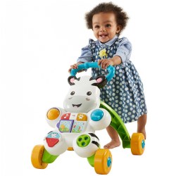Image of Learn with Me Zebra Walker
