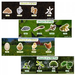 Image of Life Cycle Puzzles - Set of 4