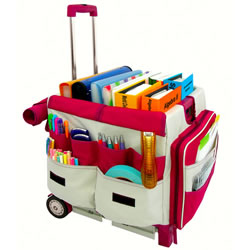 Rolling Organizer and Saddle Bag
