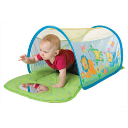 Learn To Crawl Tunnel