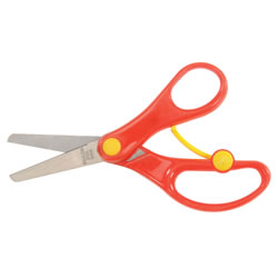 Image of Spring Blunt Scissors