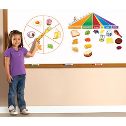 SpinZone™ Magnetic Whiteboard Games - Nutrition