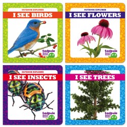 Image of I See Board Books - Set of 4