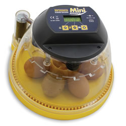 Automatic Egg Incubator