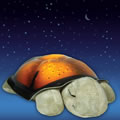 Twilight Turtle