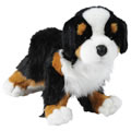 Trevor the Bernese Mountain Dog 14" Plush