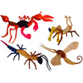 Insectmorphs