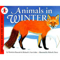 Animals in Winter - Paperback