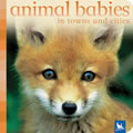 Animal Babies in Towns - Board Book