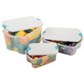 Clear Storage Boxes